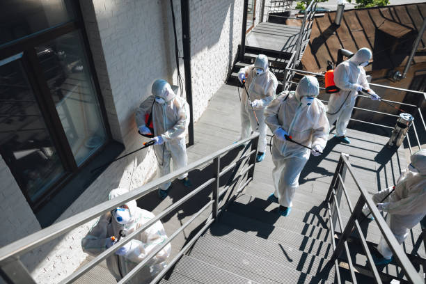 Best HVAC Mold Inspection and Cleaning  in Naples Manor, FL