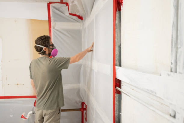 Best Attic Mold Removal  in Naples Manor, FL