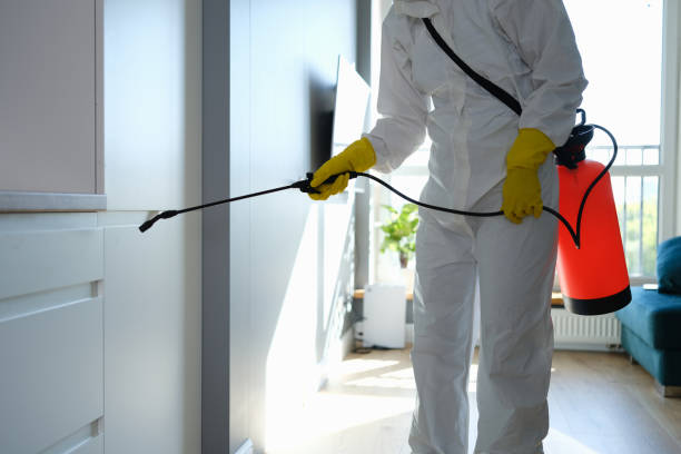 Best Crawl Space Mold Remediation  in Naples Manor, FL