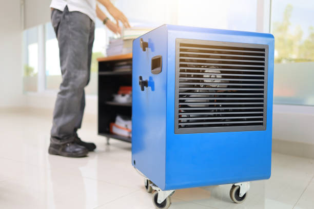 Best Mold Damage Restoration  in Naples Manor, FL