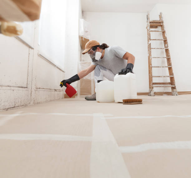 Best Mold Prevention Services  in Naples Manor, FL